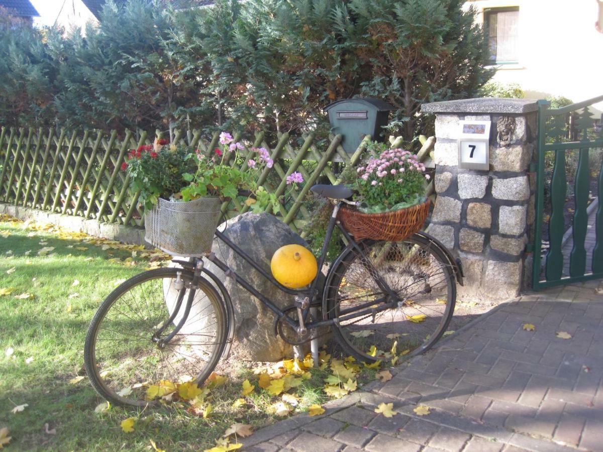 Pension Zum Weissen Hirsch Reitwein Extérieur photo