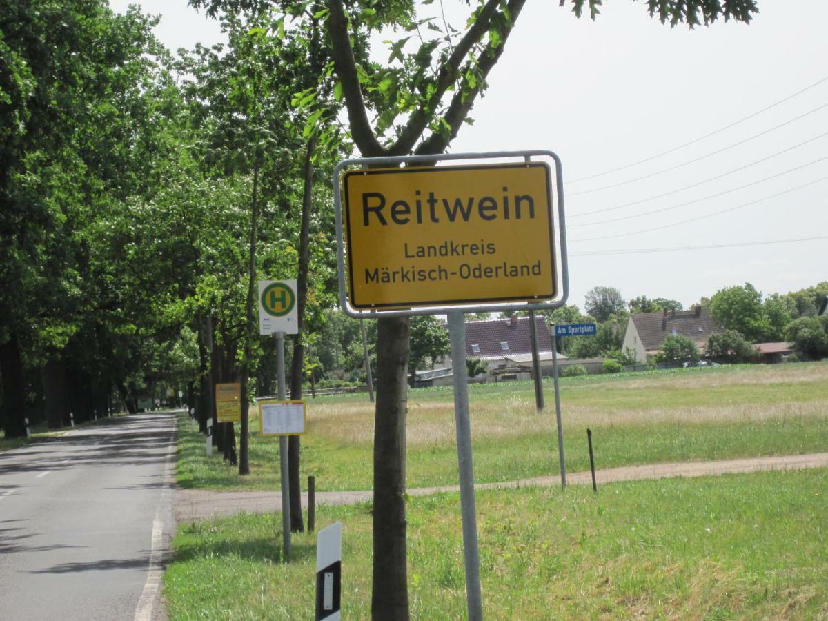 Pension Zum Weissen Hirsch Reitwein Extérieur photo