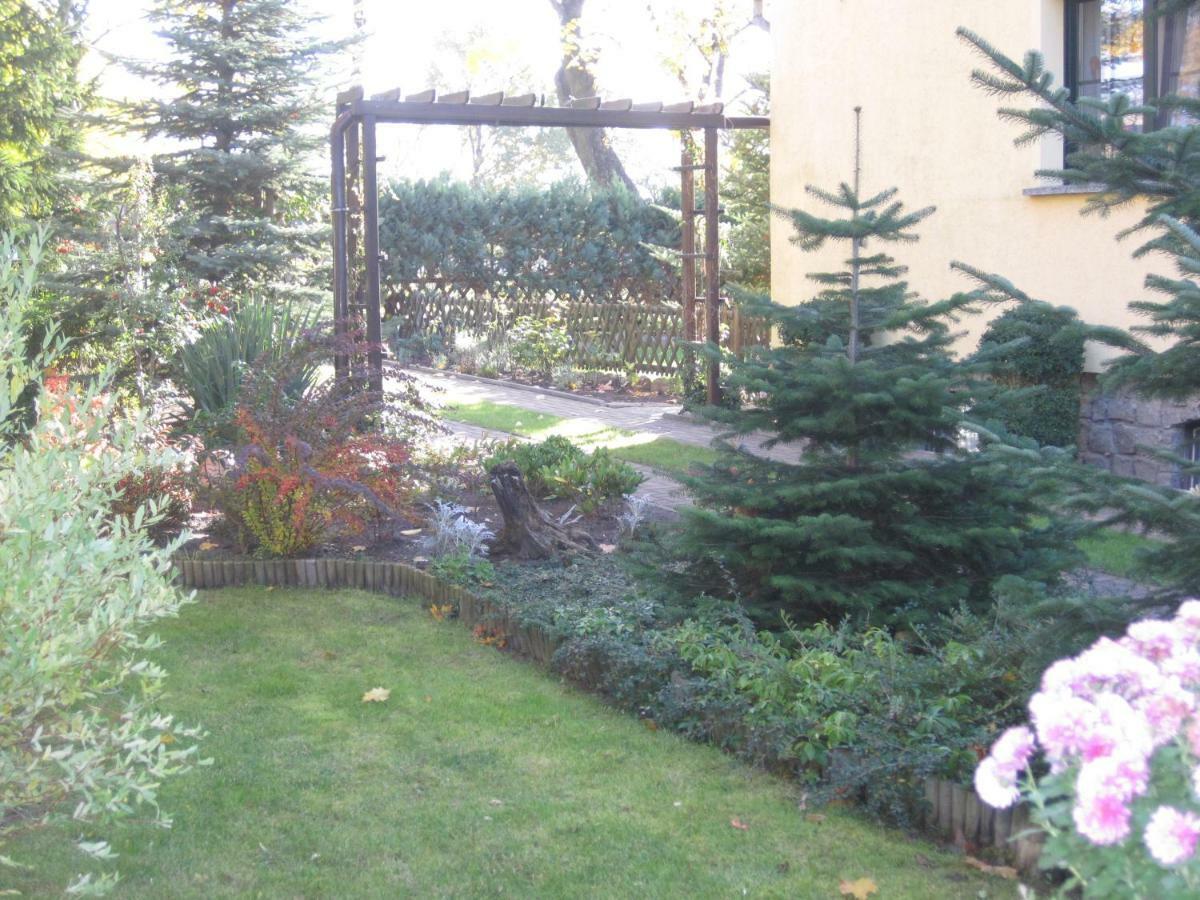 Pension Zum Weissen Hirsch Reitwein Extérieur photo