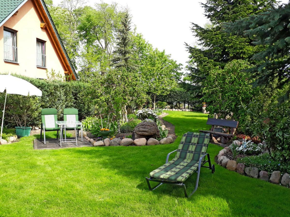 Pension Zum Weissen Hirsch Reitwein Extérieur photo