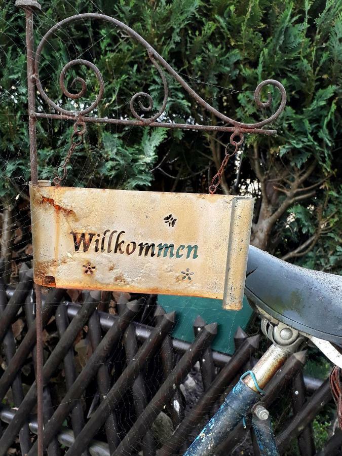 Pension Zum Weissen Hirsch Reitwein Extérieur photo