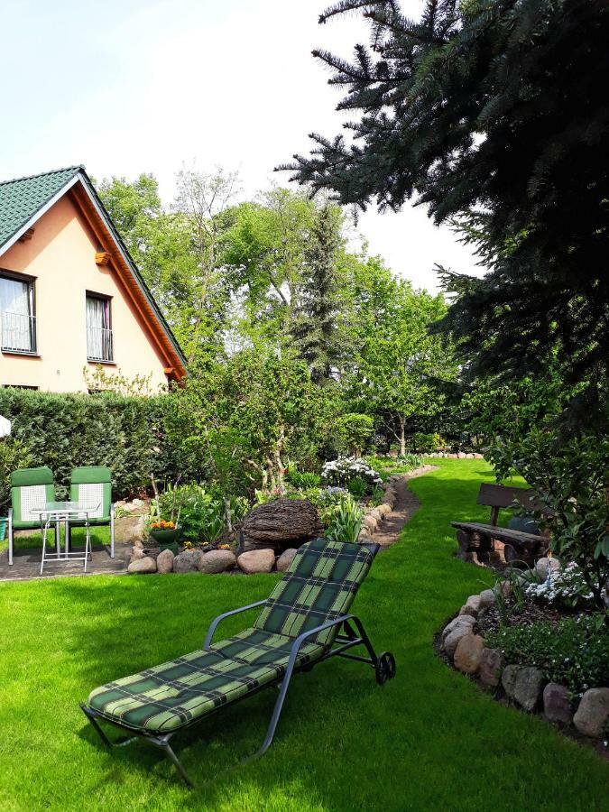 Pension Zum Weissen Hirsch Reitwein Extérieur photo