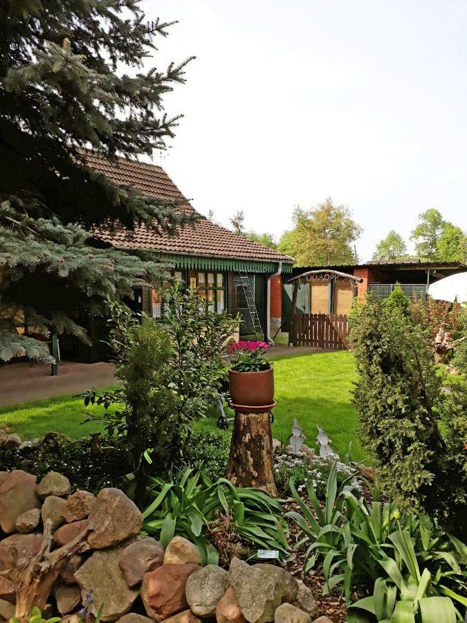 Pension Zum Weissen Hirsch Reitwein Extérieur photo