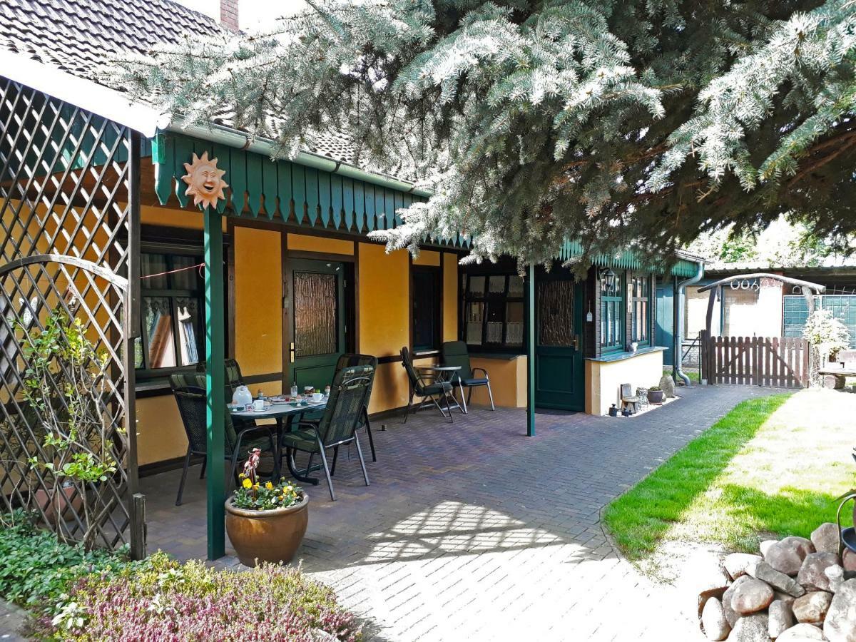 Pension Zum Weissen Hirsch Reitwein Extérieur photo