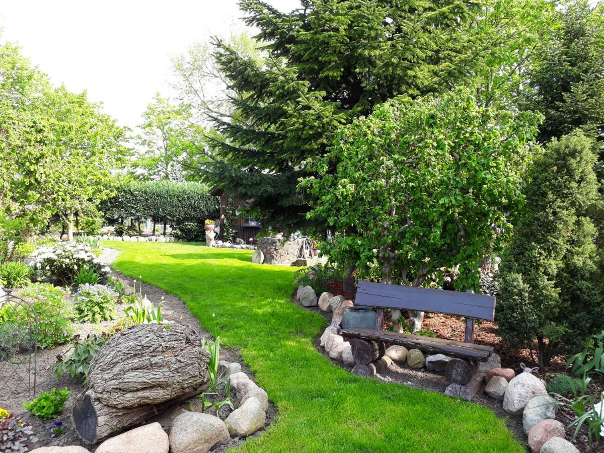 Pension Zum Weissen Hirsch Reitwein Extérieur photo