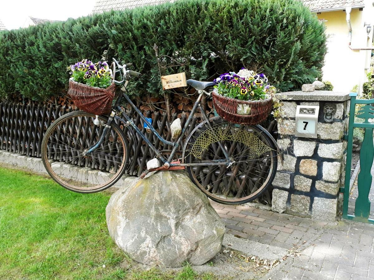 Pension Zum Weissen Hirsch Reitwein Extérieur photo
