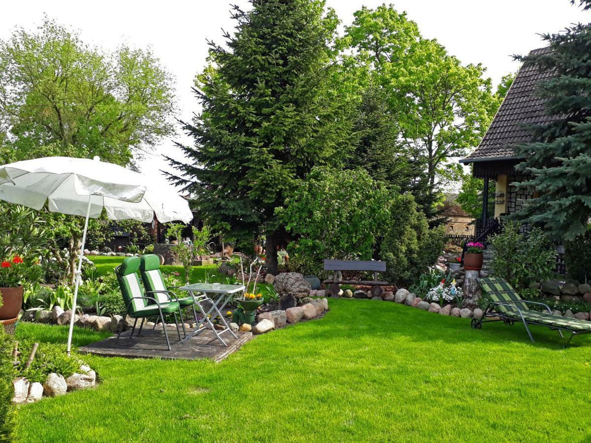 Pension Zum Weissen Hirsch Reitwein Extérieur photo
